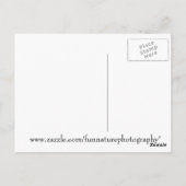 Happy Birthday Squirrel Briefkaart (Achterkant)