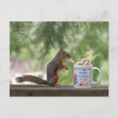 Happy Birthday Squirrel Briefkaart (Voorkant)