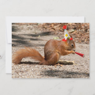 Happy Birthday Squirrel Kaart
