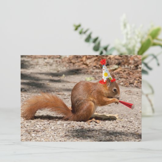 Happy Birthday Squirrel Kaart (Staand voorkant)