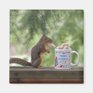 Happy Birthday Squirrel Magneet