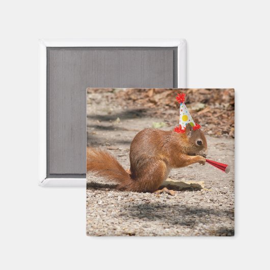 Happy Birthday Squirrel Magneet (Voorkant / Achterkant)