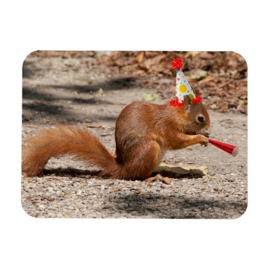 Happy Birthday Squirrel Magneet (Horizontaal)