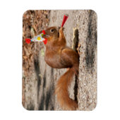 Happy Birthday Squirrel Magneet (Verticaal)