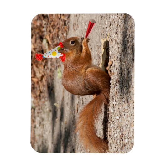 Happy Birthday Squirrel Magneet (Verticaal)