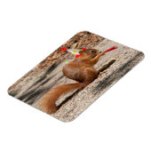 Happy Birthday Squirrel Magneet (Linkerzijde)