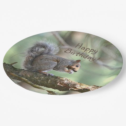 Happy Birthday Squirrel Papieren Bordje (Gekanteld)
