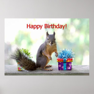 Happy Birthday Squirrel Poster