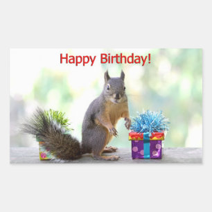 Happy Birthday Squirrel Rechthoekige Sticker