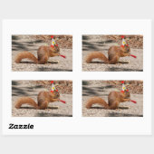 Happy Birthday Squirrel Rechthoekige Sticker (Vel)