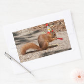 Happy Birthday Squirrel Rechthoekige Sticker (Envelop)