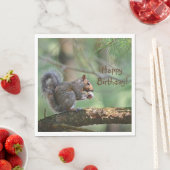 Happy Birthday Squirrel Servet (Insitu)