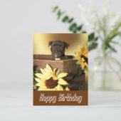 Happy Birthday Staffordshire Terrier Dog Post Kaar Briefkaart (Staand voorkant)