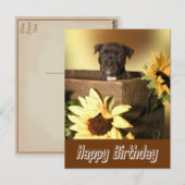 Happy Birthday Staffordshire Terrier Dog Post Kaar Briefkaart (Voorkant / Achterkant)