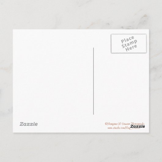 Happy Birthday Starfish Briefkaart (Achterkant)