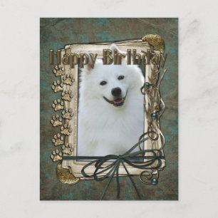 Happy Birthday - Stone Paws - American Eskimo Briefkaart