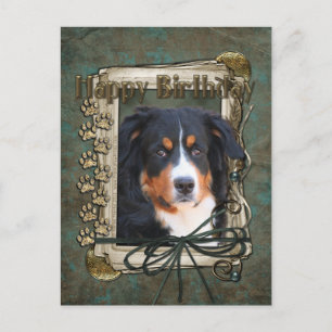 Happy Birthday - Stone Paws - Bernese Mountain Dog Briefkaart