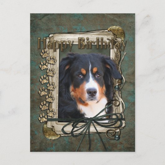 Happy Birthday - Stone Paws - Bernese Mountain Dog Briefkaart (Voorkant)