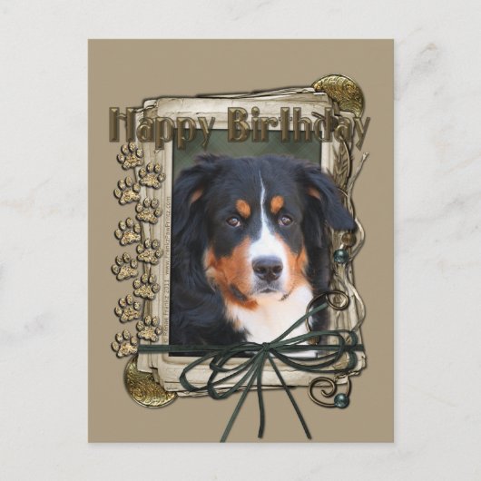 Happy Birthday - Stone Paws - Bernese Mountain Dog Briefkaart (Voorkant)