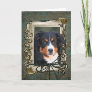 Happy Birthday - Stone Paws - Bernese Mountain Dog Kaart