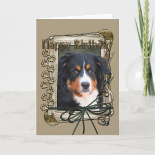 Happy Birthday - Stone Paws - Bernese Mountain Dog Kaart
