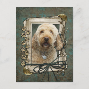 Happy Birthday - Stone Paws - GoldenDoodle Briefkaart