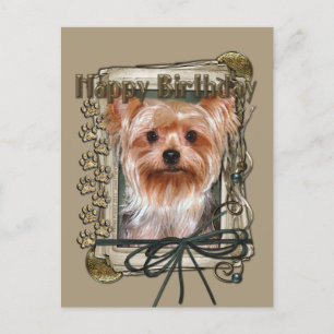 Happy Birthday - Stone Paws - Yorkshire Terrier Briefkaart