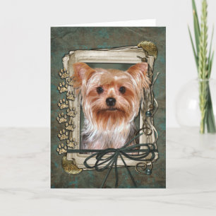 Happy Birthday - Stone Paws - Yorkshire Terrier Kaart