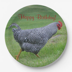 Happy Birthday StrolChicken Papieren Bordje