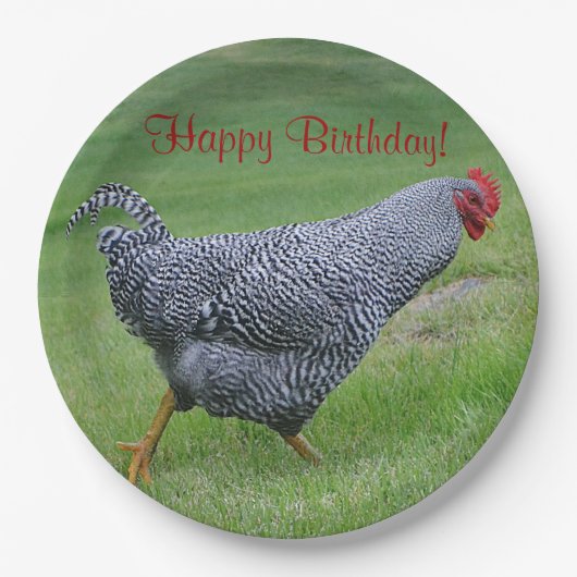 Happy Birthday StrolChicken Papieren Bordje (Voorkant)