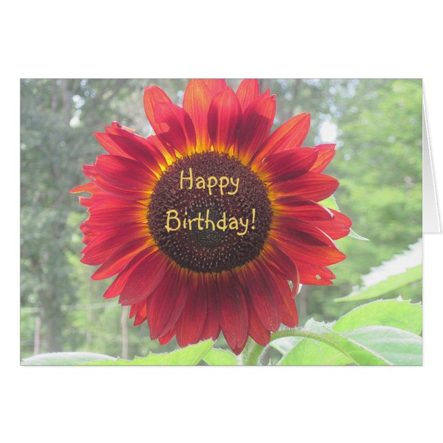 Happy Birthday Sunflower (Voorkant Horizontaal)