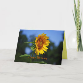 Happy Birthday Sunflower Kaart