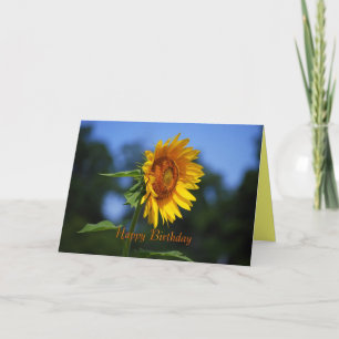 Happy Birthday Sunflower Kaart