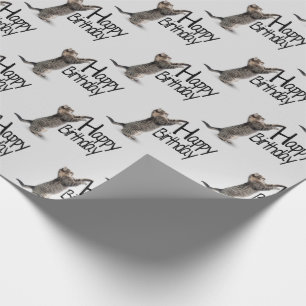 Happy Birthday Tabby Cat leuk Cadeaupapier