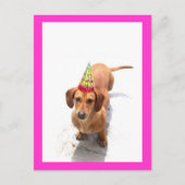Happy Birthday Teckel Briefkaart (Voorkant)