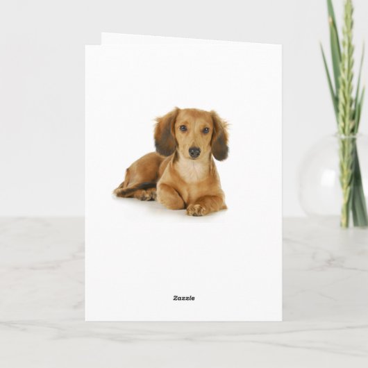 Happy Birthday Teckel Puppy Dog Kaart (Achterkant)