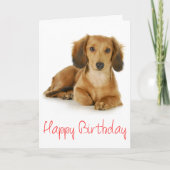 Happy Birthday Teckel Puppy Dog Kaart (Voorkant)