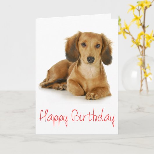Happy Birthday Teckel Puppy Dog Kaart (Gele Bloem)