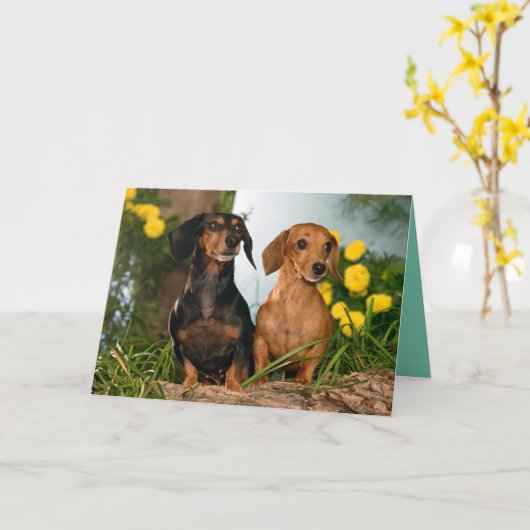 Happy Birthday Teckel Puppy Dog Kaart (Gele Bloem)