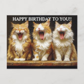Happy Birthday Three Ginger Singing Cats   Briefkaart (Voorkant)