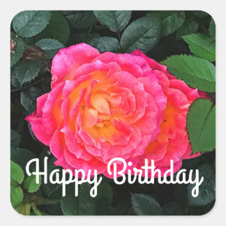 Happy Birthday Tidly Winks Roos #1 Sticker