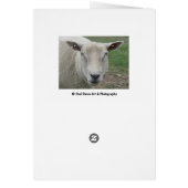 Happy Birthday to Ewe Card (Achterkant)