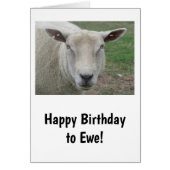 Happy Birthday to Ewe Card (Voorkant)