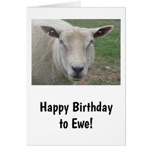 Happy Birthday to Ewe Card (Voorkant)