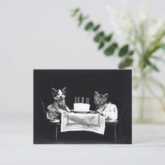 Happy Birthday to Meow | Katten met Cake Briefkaart (Staand voorkant)