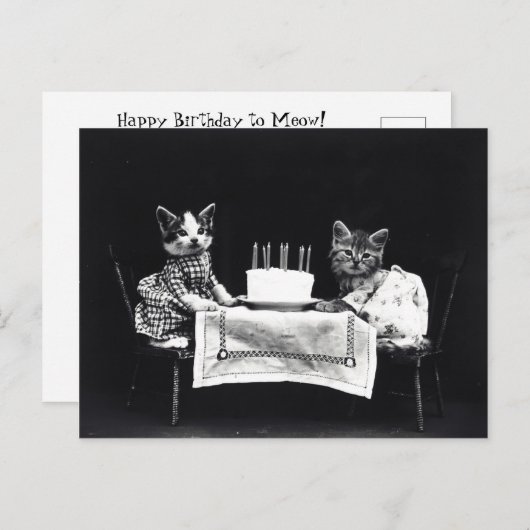 Happy Birthday to Meow | Katten met Cake Briefkaart (Voorkant / Achterkant)