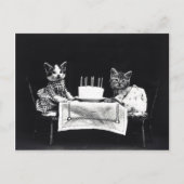 Happy Birthday to Meow | Katten met Cake Briefkaart (Voorkant)