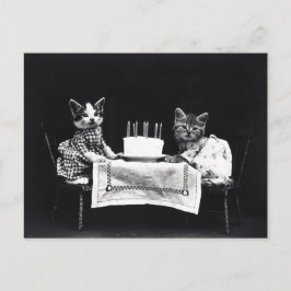 Happy Birthday to Meow | Katten met Cake Briefkaart
