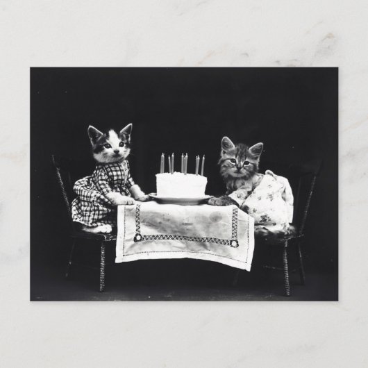 Happy Birthday to Meow | Katten met Cake Briefkaart (Voorkant)