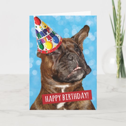 Happy Birthday to Party Animal Boxer Dog Kaart (Voorkant)